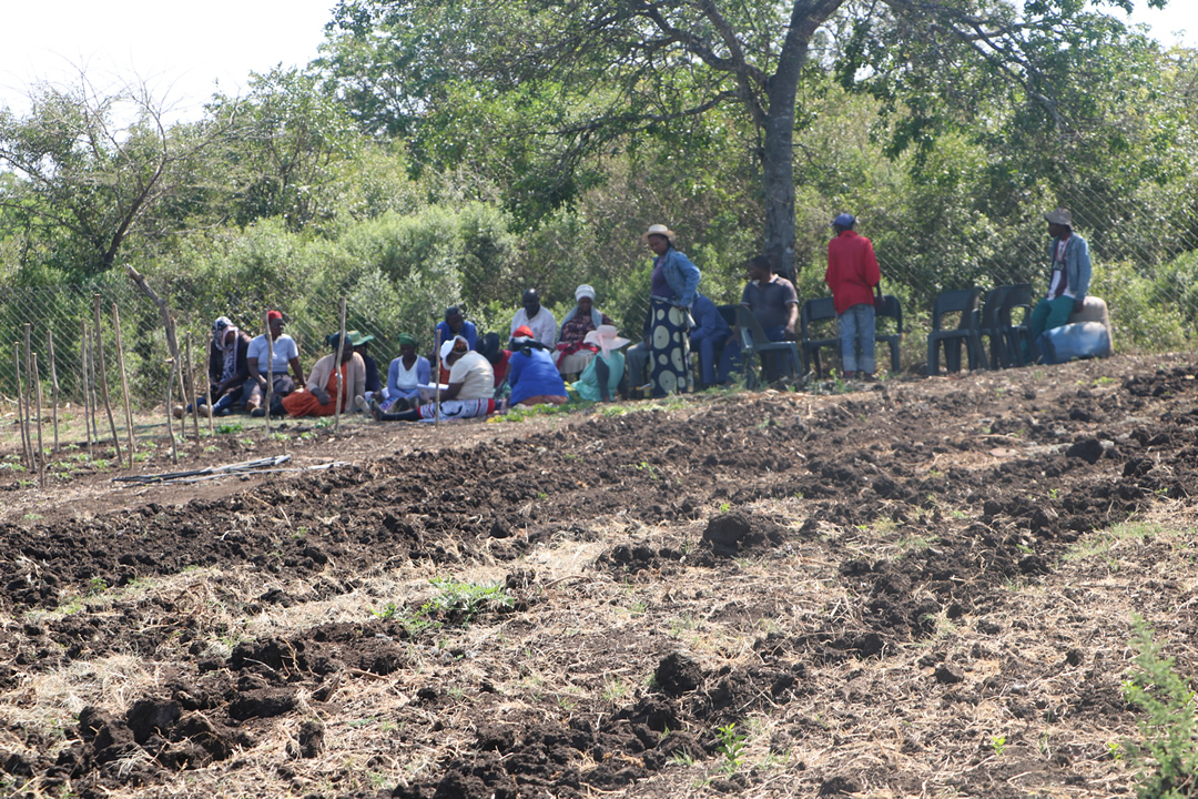 Livelihood Projects