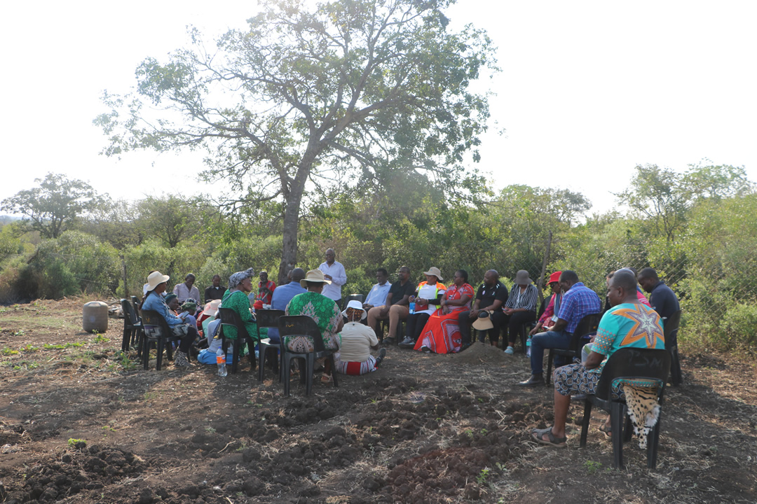 Livelihood Projects