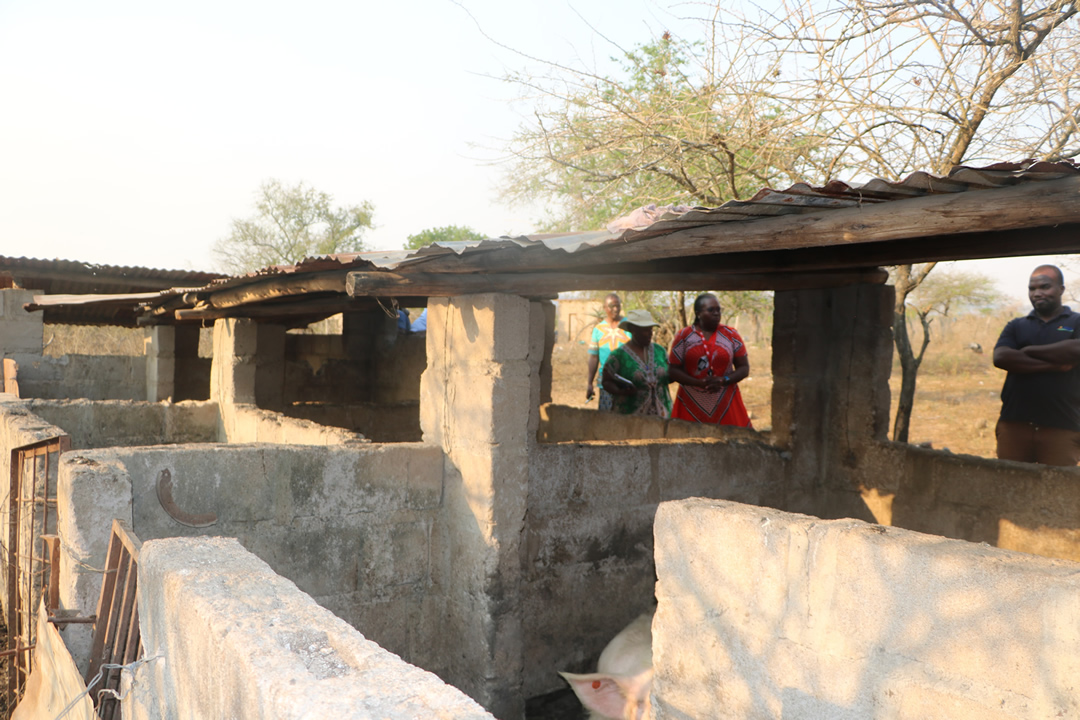 Livelihood Projects